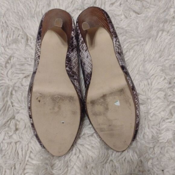 steve madden snake print heels - Picture 6 of 8